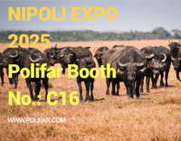 //5irorwxhomroiik.leadongcdn.com/cloud/lmBqnKmmSRilpkipjkkq/NIPOLI-EXPO.jpg