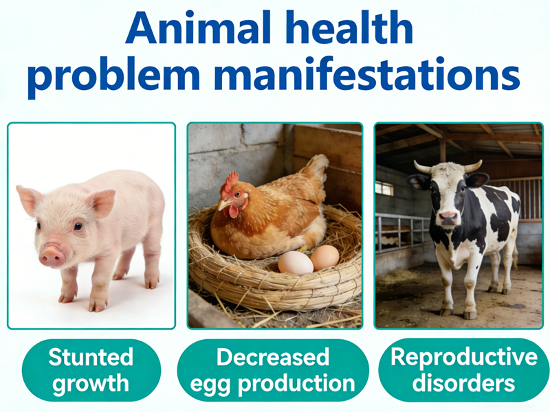 Sintomi di carenza di colecalciferolo
