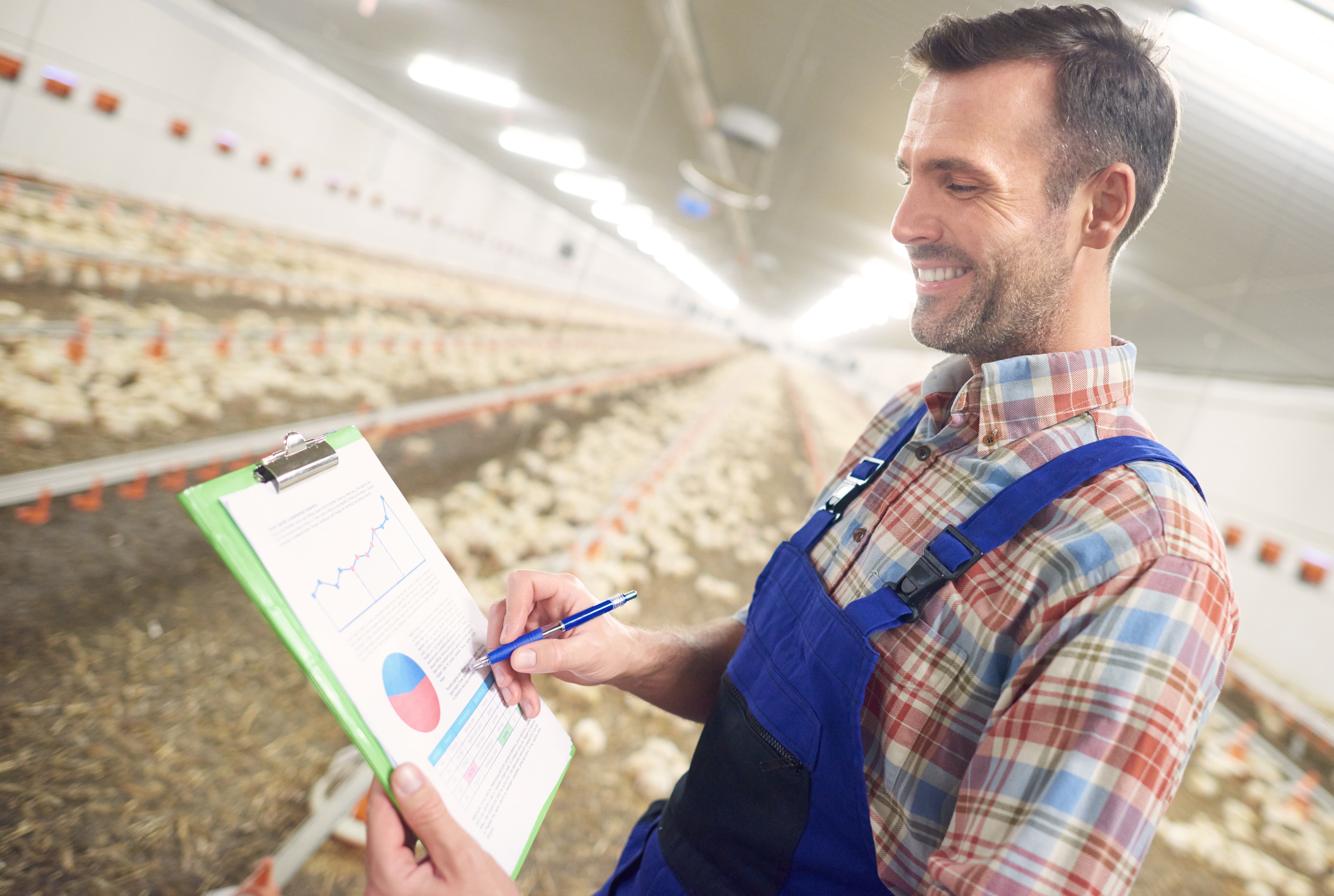 un giovane agricoltore sta studiando i dati sulla crescita dei polli