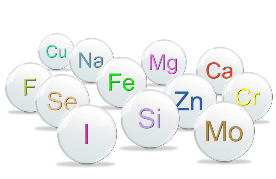 Applicazione di oligoelementi organici nei maialini