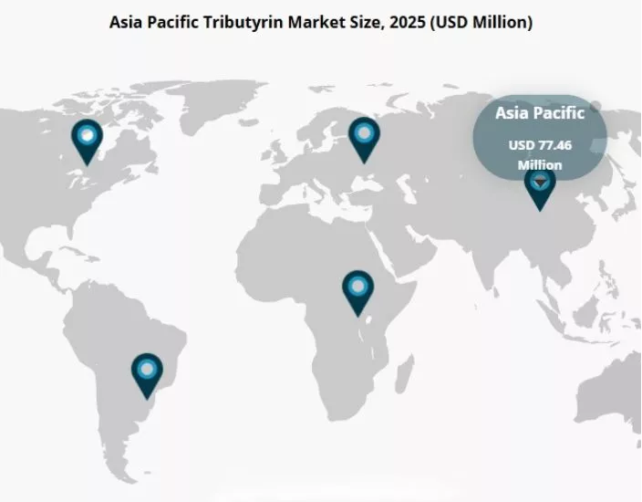Qual è il ruolo della tributirina nell'alimentazione animale?