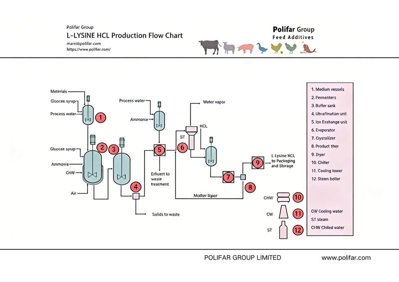 Diagramma di flusso della produzione di L-lisina HCL