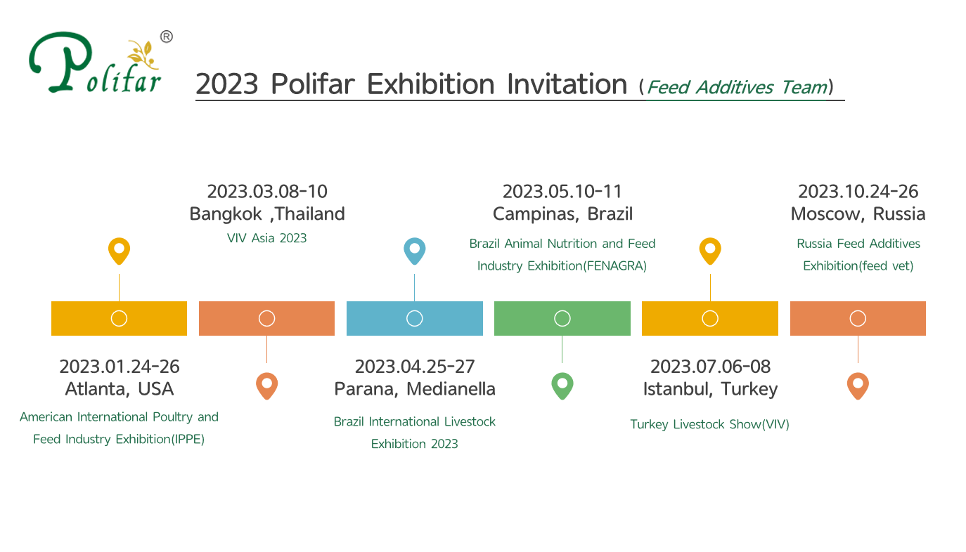 Exhibition Polifar Feed