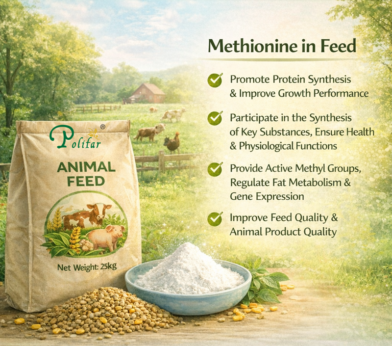 Efficacia ed effetti della metionina