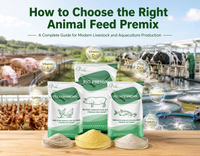 //5irorwxhomroiik.leadongcdn.com/cloud/pmBqnKmmSRqlinmlmqkm/How-to-Choose-the-Right-Animal-Feed-Premix.jpg