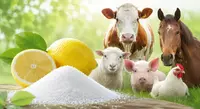 Allevamento di animali