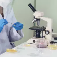 Ispezione del prodotto finito