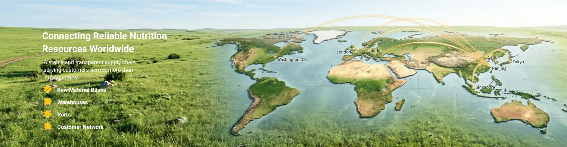 Rete globale della catena di fornitura Polifar